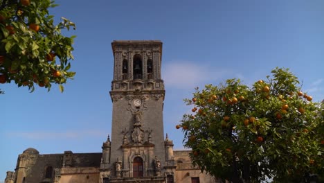 deslizador lento entre naranjos con torre del reloj en segundo plano.