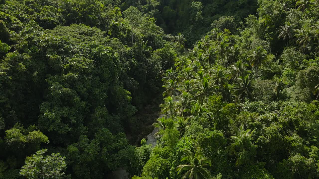 drone aéreo de arriba hacia abajo por encima de la selva verde selva tropical copas de árboles exuberantes, denso destino de viaje tropical del sudeste asiático, estableciendo un paisaje panorámico