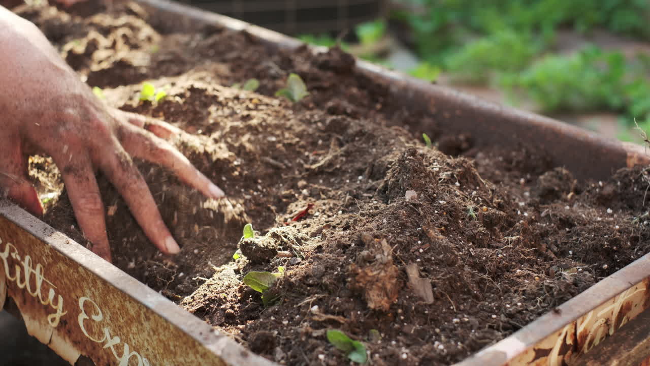 manos de primer plano y paleta girando el suelo rico en una cama de vagón desgastado, preparándose para plantar flores