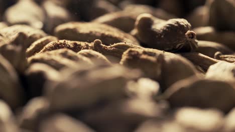 Macro slow motion shot of cardamom pods with fine aromatic dust drifting above them. Rich textures and cinematic lighting evoke flavor, elegance and sensory depth.