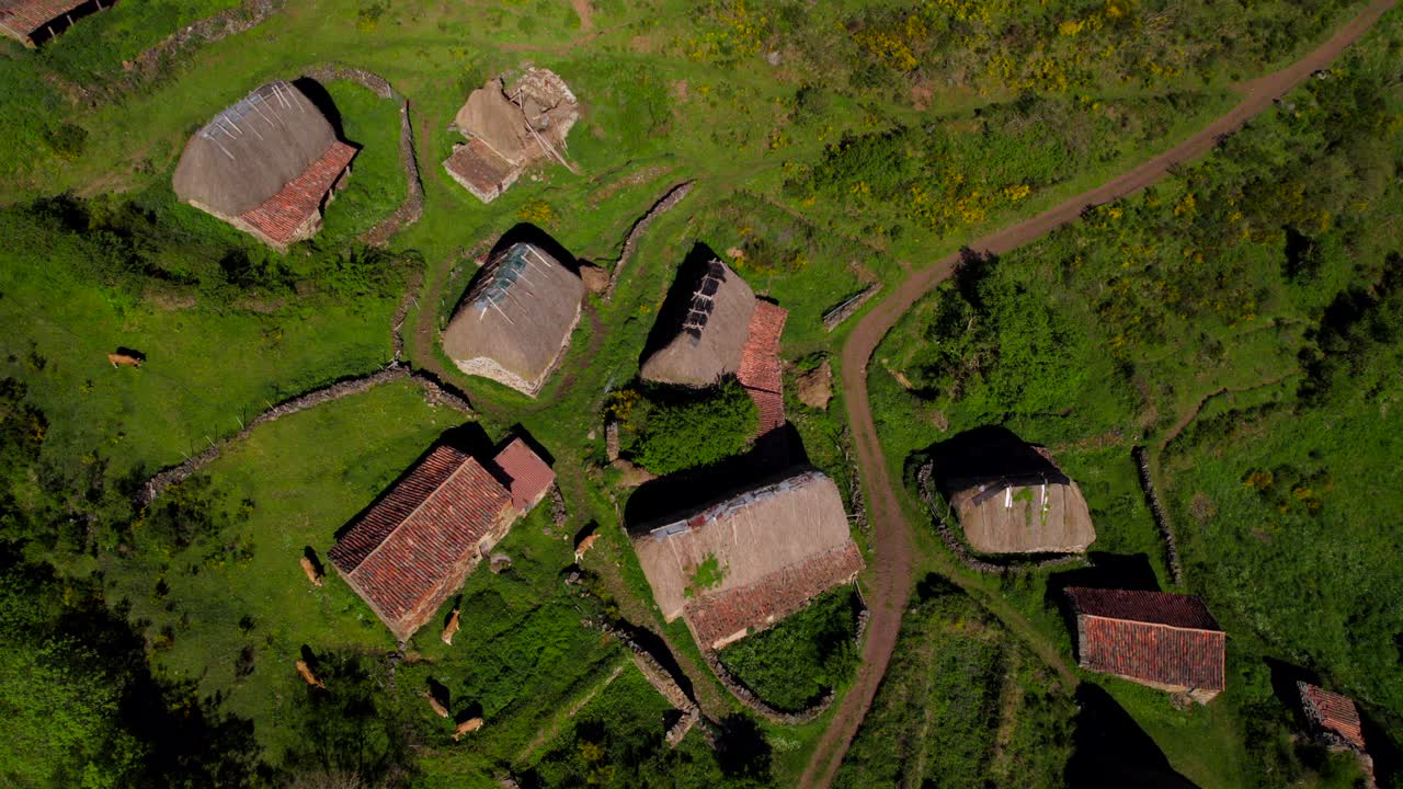 Aerial view of Bra&ntilde;a Pornacal straw rural huts village in Asturias, Spain