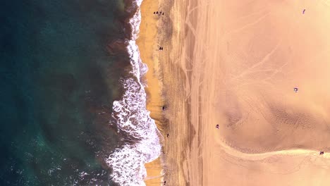 Luftdrohnenansicht-Von-Oben-Nach-Unten-Von-Menschen,-Die-An-Einem-Farbenfrohen,-Tropischen,-Heißen,-Sonnigen-Strand,-Gran-Canaria,-Kanarische-Inseln,-Spazieren-Gehen