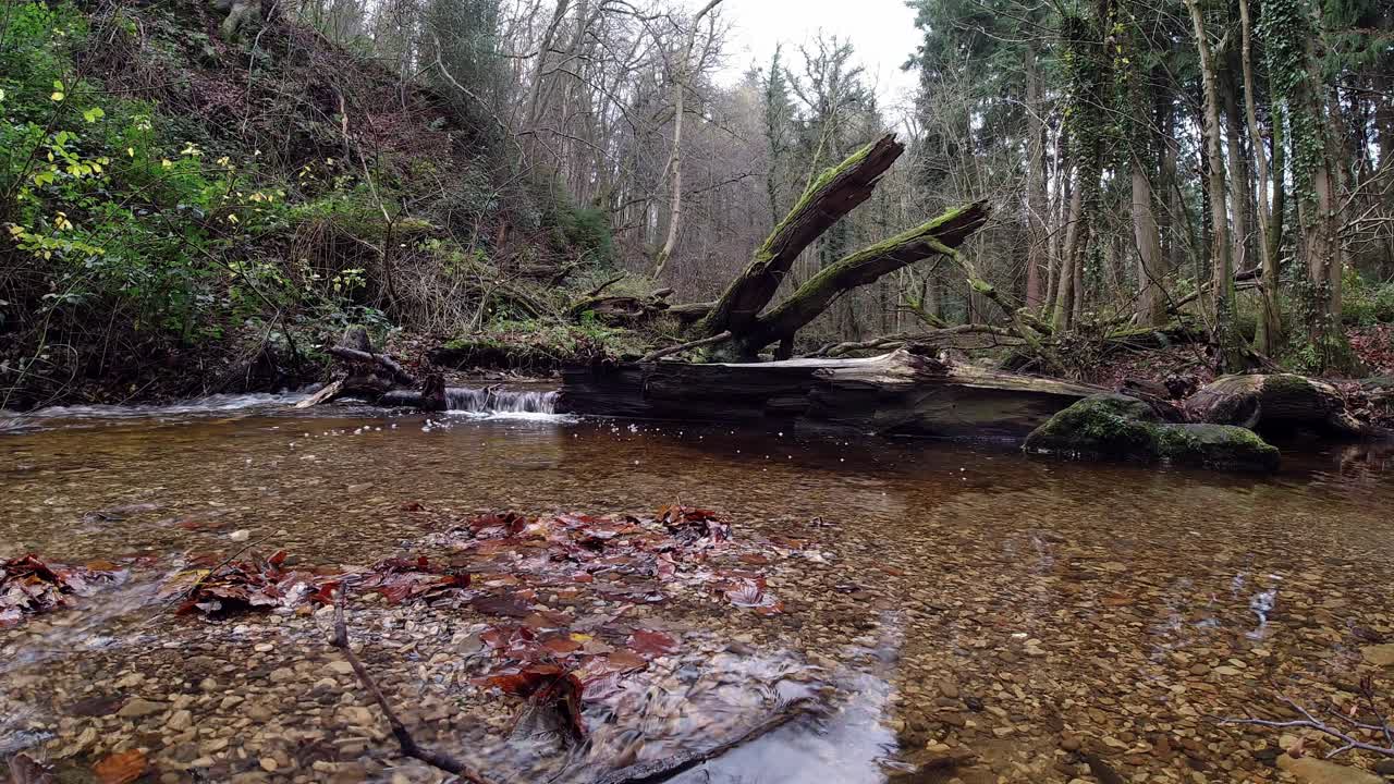 antigua mina de cobre rural río que fluye a través del bosque bosque desierto timelapse