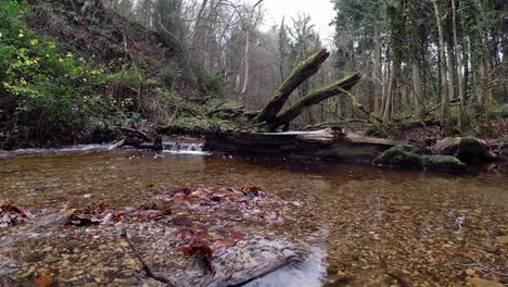 Alter-Ländlicher-Kupferminenfluss,-Der-Durch-Waldwildniszeitraffer-Fließt