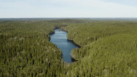 Vista-Aérea-Con-Vistas-Al-Lago-Iso-Helvetijarvi,-Día-Brillante-Y-Soleado,-En-El-Parque-Nacional-Helvetijarvi,-Ruovesi,-Pirkanmaa,-Finlandia---órbita,-Disparo-De-Drones