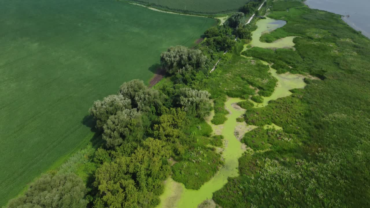 establishing shot lake erie ontario canada