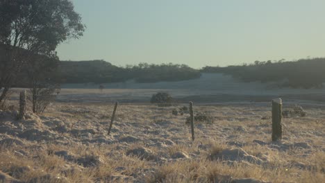 el amanecer brillando sobre una llanura nevada en el alto país victoriano con viejas cercas de ganado
