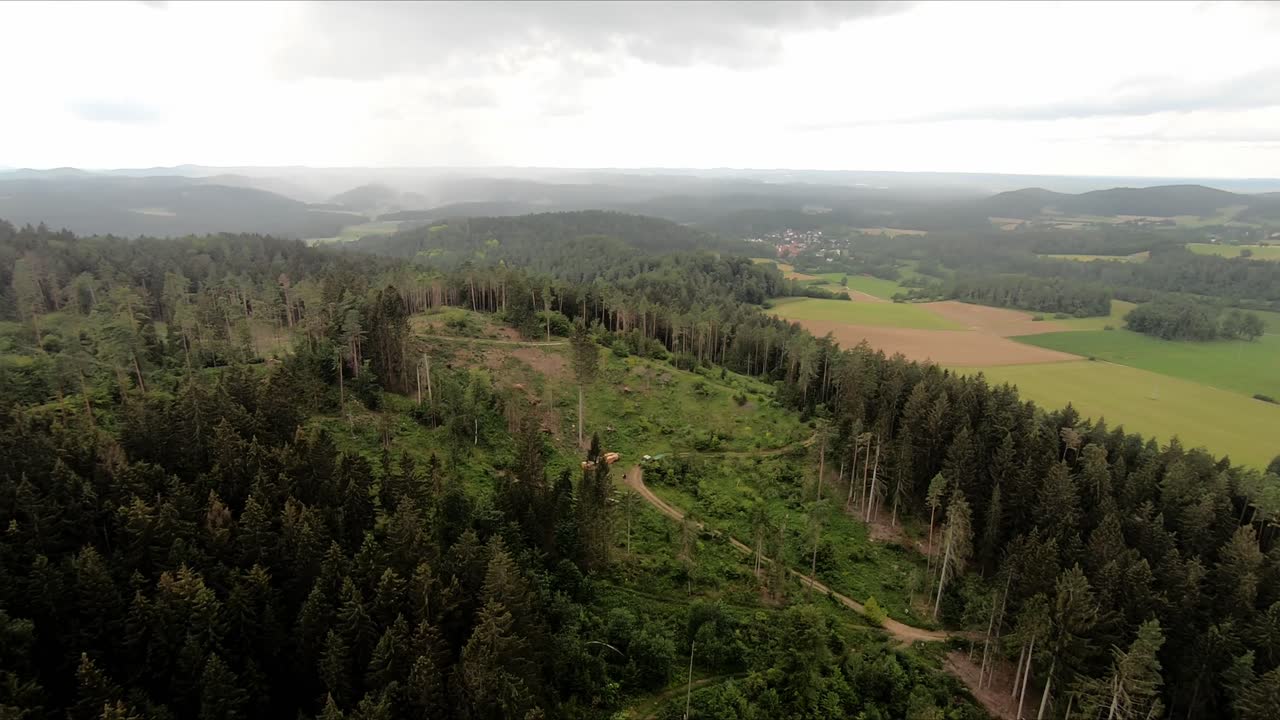 Drone shot over a forest after a broken beetle infestation