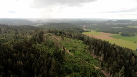 Drohnenschuss-über-Einem-Wald-Nach-Einem-Gebrochenen-Käferbefall