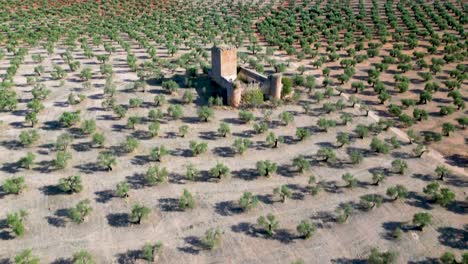 dynamic drone footage of the medieval aragonesa castle in andalusia, spain