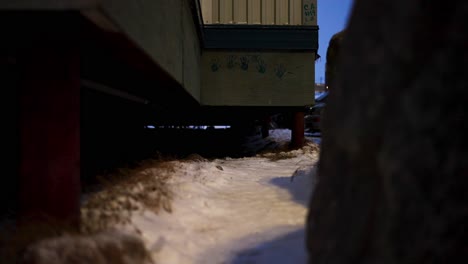 painted hands on outside of an arctic town house