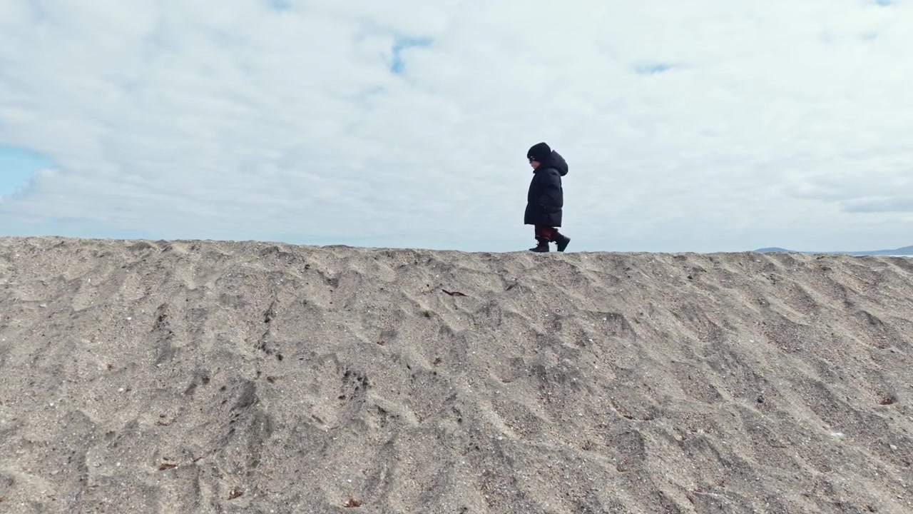日中、曇り空の下、水辺近くの砂浜を歩く人。