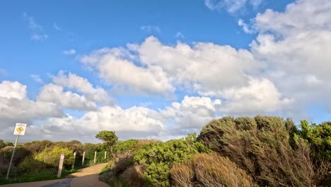 bushes sway under a bright, cloudy sky