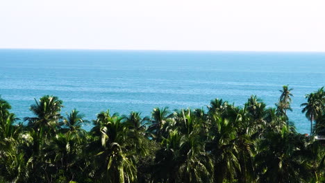 panoramic view of mui ne holiday travel destination in vietnam tropical palm tree beach sea scenery
