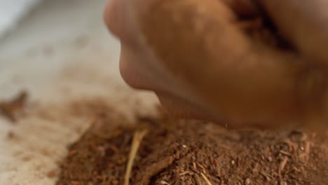 toma macro de la producción de polvo de raíz más loca, utilizada para tintes textiles rojos y productos cosméticos