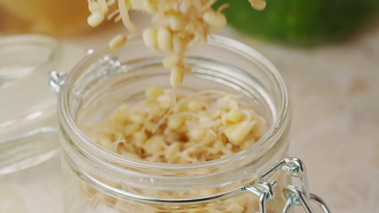 Salted soybean fermented in jar, chinese soy production, marinated food, germinated soy close up in cafe restaurant.