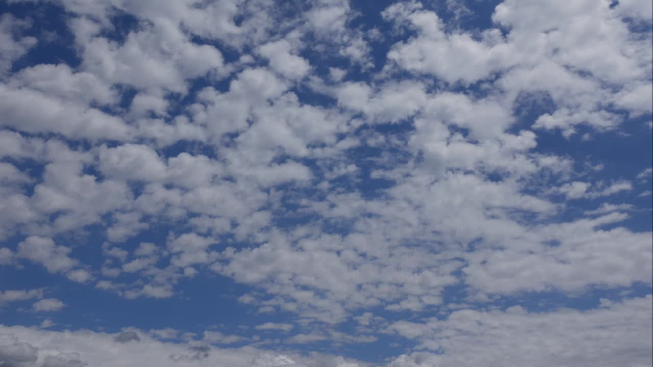cielo azul nubes blancas. nubes puffy fluffy blancas. nube cúmulo scape lapso de tiempo. verano cielo azul lapso de tempo. dramático majestuoso increíble cielo azul. nubes blancos suaves se forman. nubes fondo lapso de time