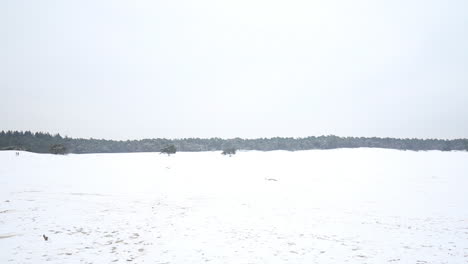 Ancho-Extremo-De-Dunas-De-Arena-Cubiertas-De-Nieve