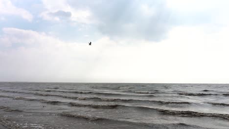 cloudy coastal scene with bird