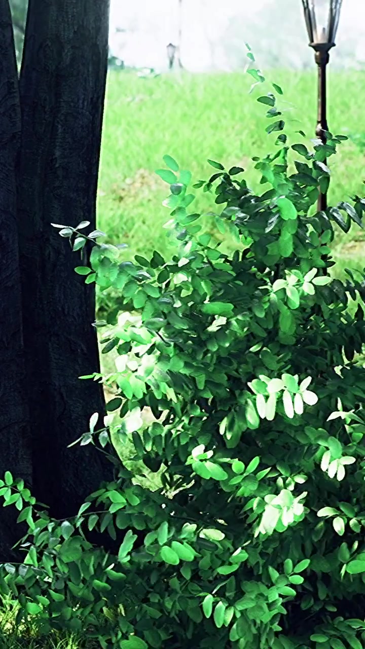 Erba verde e alberi accanto a un lampione in un parco pubblico