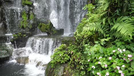 scenic nature of beautiful waterfall green plant leaf and fresh water pond