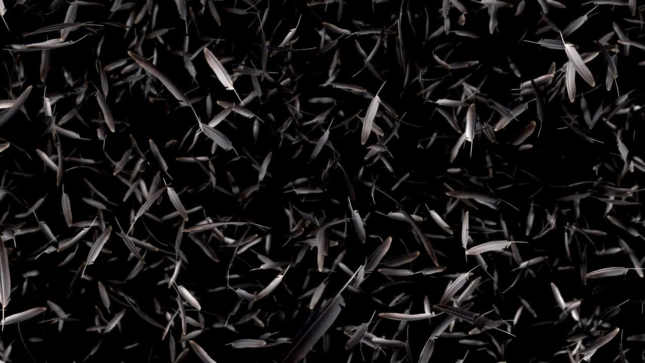 plumas que caen con el canal alfa