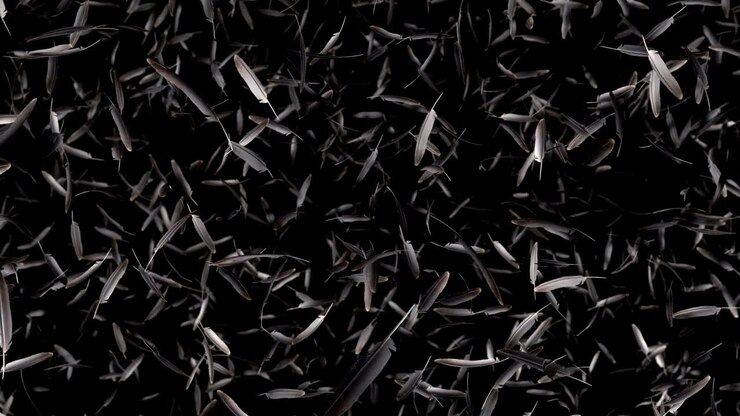 Falling feathers with alpha channel