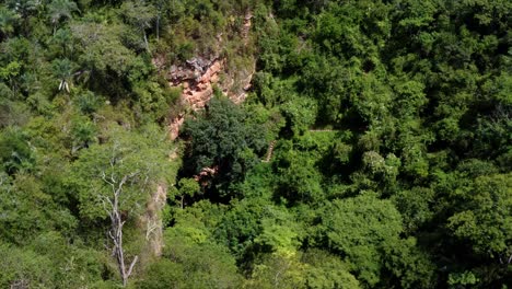 toma aérea de drones giratorios de la entrada de la cueva al pozo encantado o poço encantado rodeado de árboles tropicales, plantas y acantilados en el parque nacional chapada diamantina en el norte de brasil