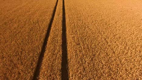 drone following tractor tracks