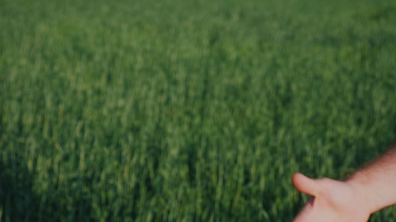 dos granjeros se dan la mano en el contexto de un trato de campo de trigo verde en el concepto de agronegocios 4
