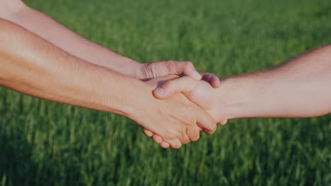 dos granjeros se dan la mano en el contexto de un trato de campo de trigo verde en el concepto de agronegocios 4
