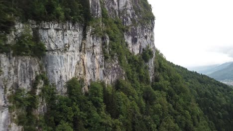 Acantilado-Rocoso-Con-Un-Exuberante-Bosque-Verde-Junto-A-Las-Montañas-En-Obersee-En-Nafels,-Suiza