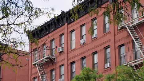 flock of pigeons on new york city fire escape of red brick building