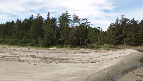 Aerial-Views-Over-Sandy-Creek-with-Woodland-Forest-at-Moresby-Island,-Columbia,-Canada