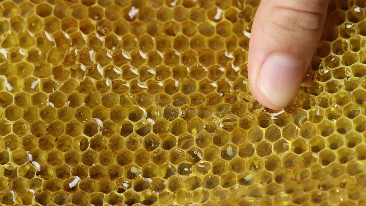 Favo con miele fresco e naturale