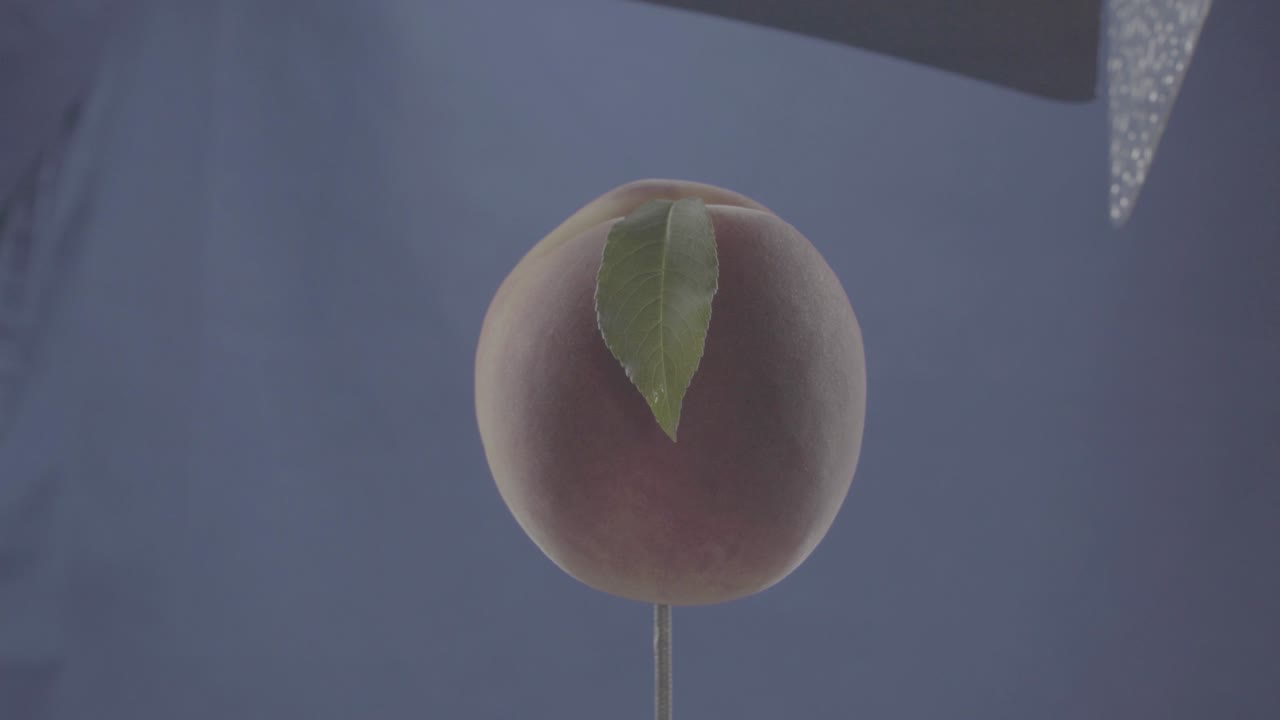 Peach rotating with loop on blue screen for chroma key