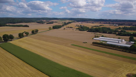 Campos-Agrícolas-Del-Campo,-Vista-Desde-Arriba-En-Campos-De-Trigo-Cultivados