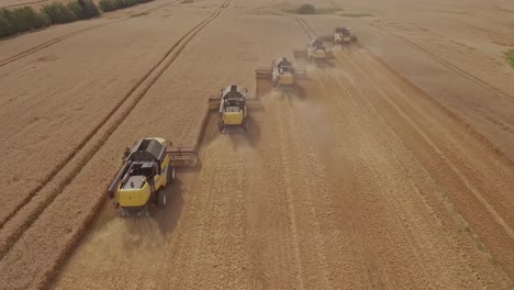 Toma-Aérea-De-Un-Grupo-De-Cosechadoras-Que-Recogen-Trigo-Durante-La-Temporada-De-Cosecha-Y-Levantan-Polvo-Durante-El-Proceso.