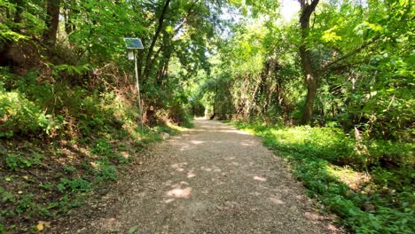 un lento paseo por un sendero boscoso en un parque cerca de troyan, bulgaria