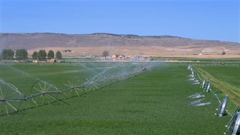 large irrigation system watering a huge green field of crops