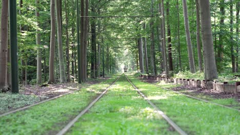 low wide angle of riding metro fading away between the grassy railroad in nature