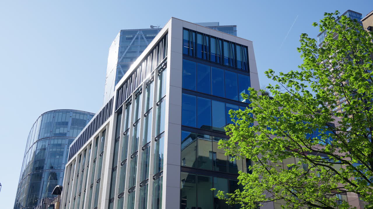 View of modern glass office buildings in London, England with sunlight reflecting off windows and tree branches