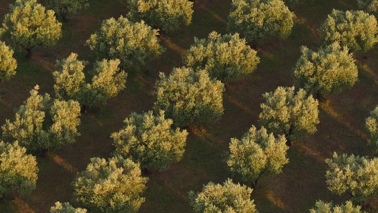 Mediterranean Agricultural Landscape from Above