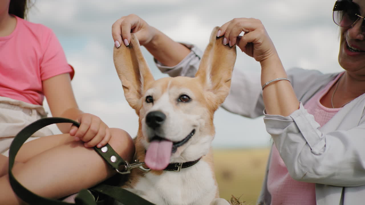 웃는 여자, 분홍색 을 입은 아이가 시골에서 선글라스를 가지고 놀면서 을 들고 있는 행복한 개.