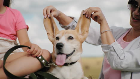 perro feliz con la lengua fuera las orejas estiradas juguetón sostenido por mujer sonriente, niño en top rosa sosteniendo la correa mientras juega con gafas de sol en el campo