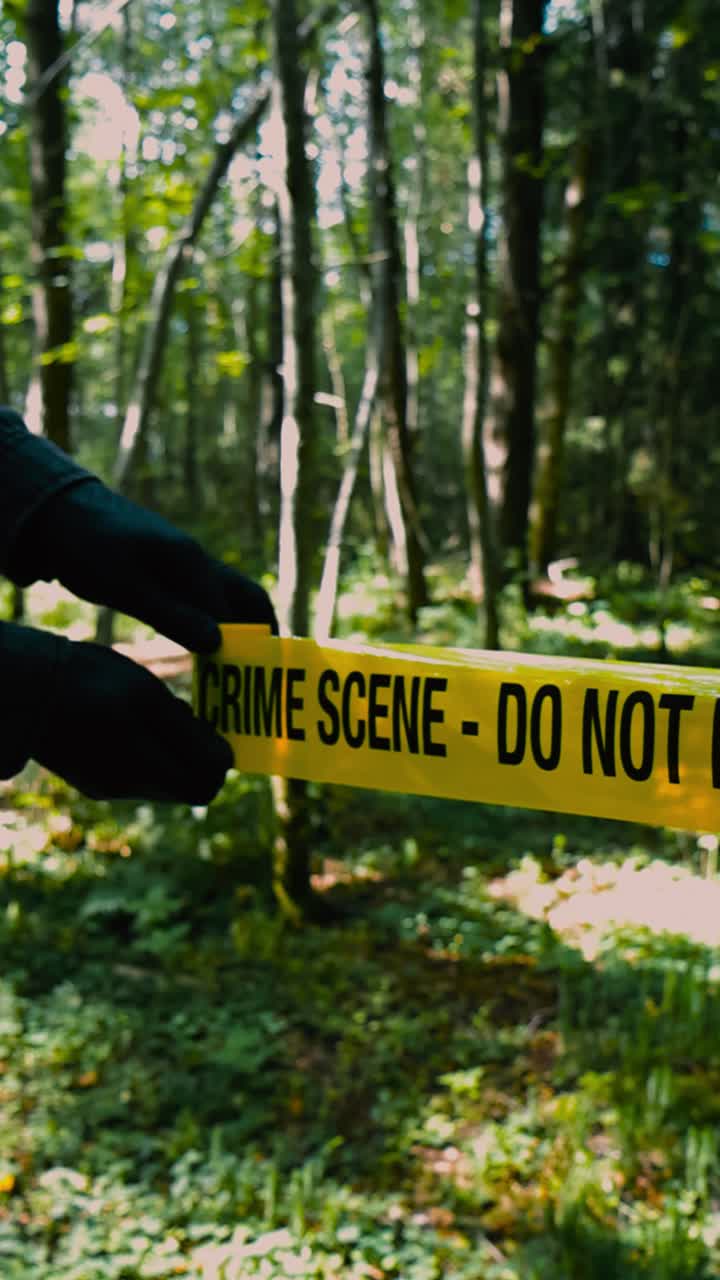 Vertically filmed video of a police investigator or a detective unrollin and pulling a crime scene yellow colored forensic tape in front of a wooded forest area during a sunny warm day at nature