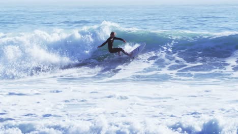 surfers surfing in sea