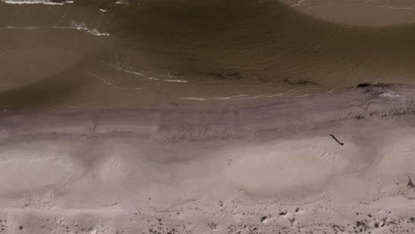 single lone man walks on sandy beach as ocean waves gently crash on shore, drone top down