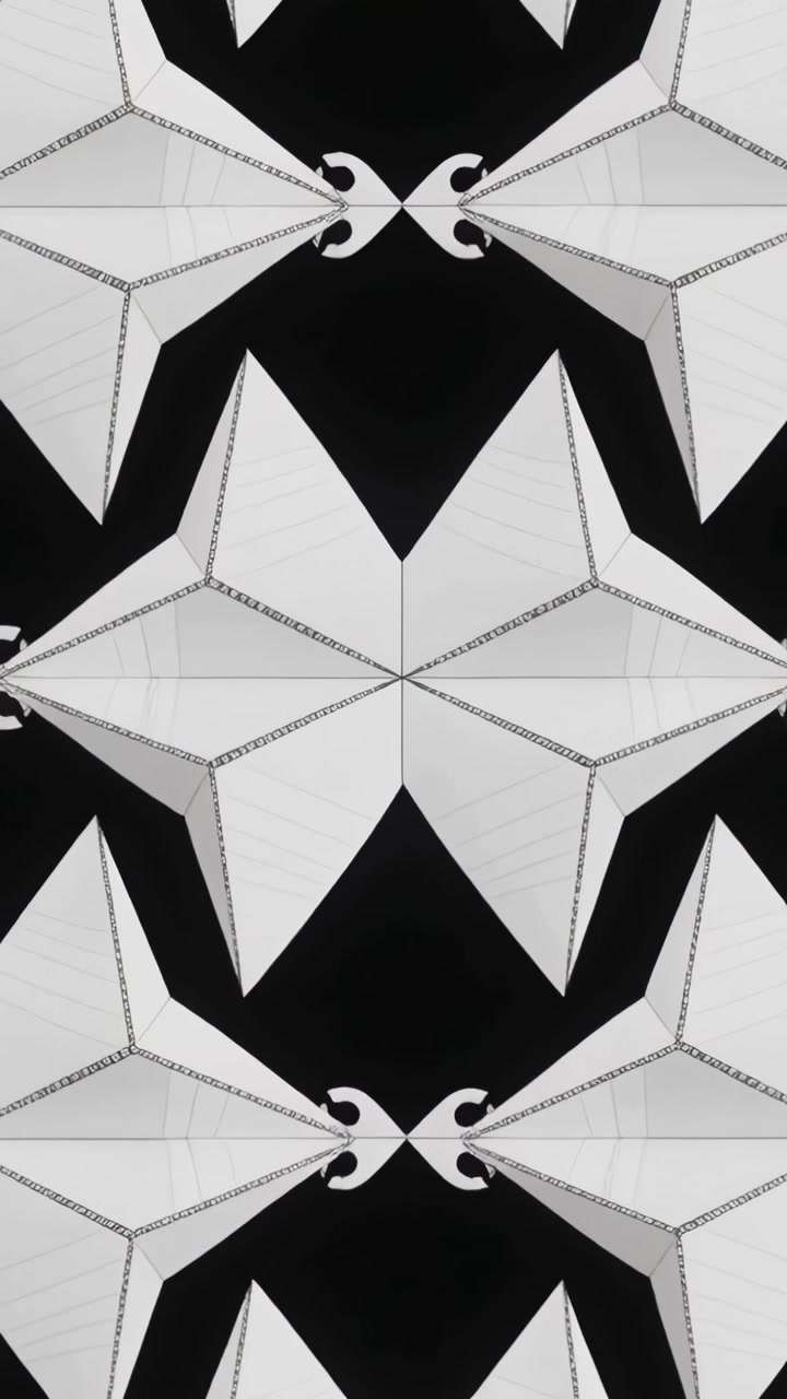 Vertical video: Morphing B and W mirrored pattern shifting across five frames 0–4s, showing star mot