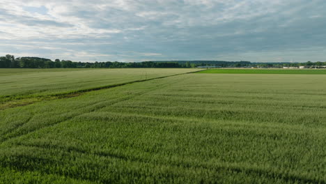 Expansive-green-fields-under-cloudy-skies-in-Dardanelle,-Arkansas,-wide-shot